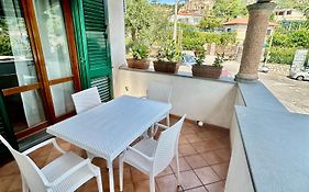 Green Holiday House